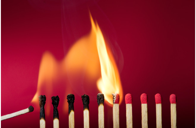 matches mirror neurons