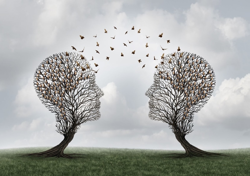 two minds 