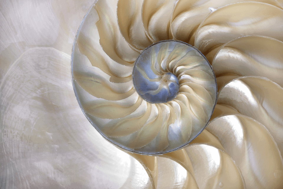 upward spiral