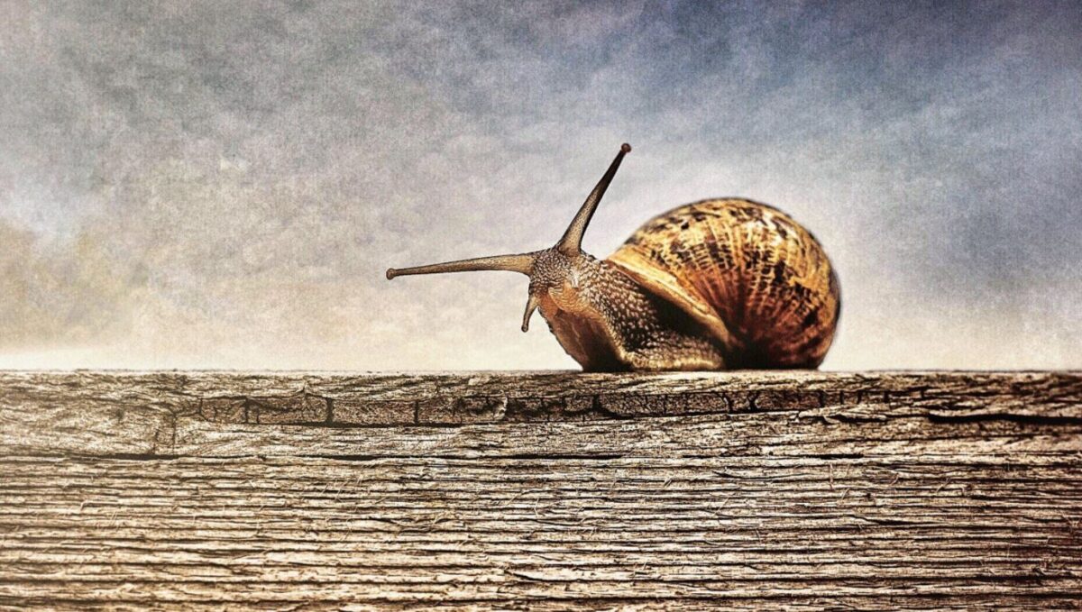 Slow delivery